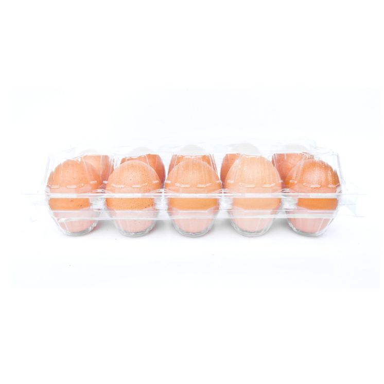 100 X Clear Duck Egg Cartons For 10 Large Eggs