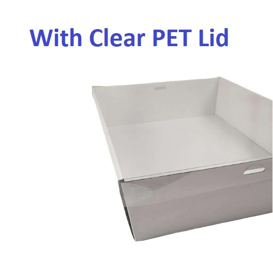 100 X Large White Disposable Catering Grazing Boxes Trays With Clear PET Lids