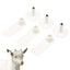 100x Cattle Ear Tags 5x2cm Set - Mini White Blank Pig Goat Livestock Label