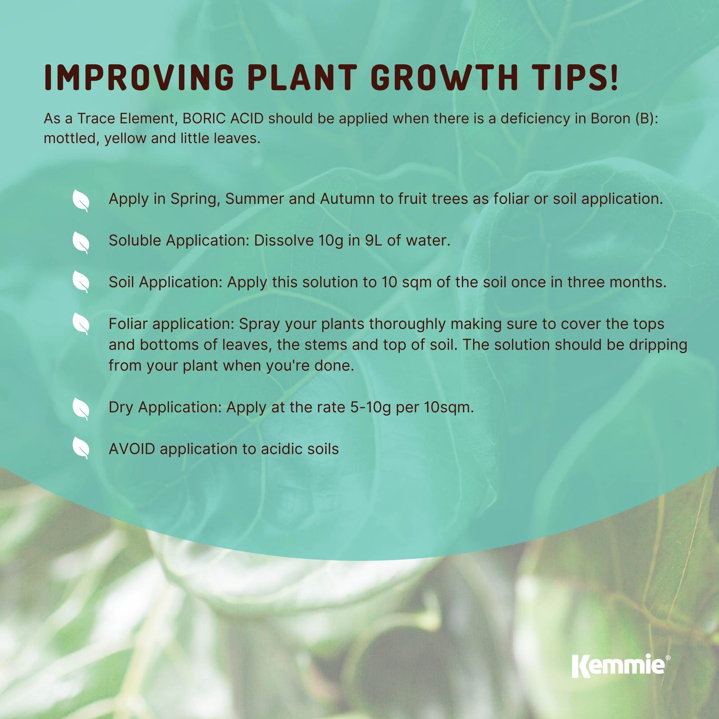 4.9Kg Boric Acid Powder Bucket 99.9% Pure Fully Soluble Granule Pest Ant Roaches