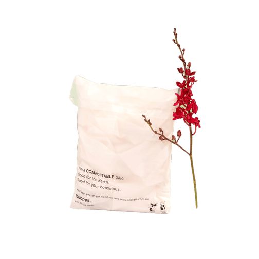 50 X Clear Biodegradable Medium Mailer 250X340mm Compostable Bag Satchels