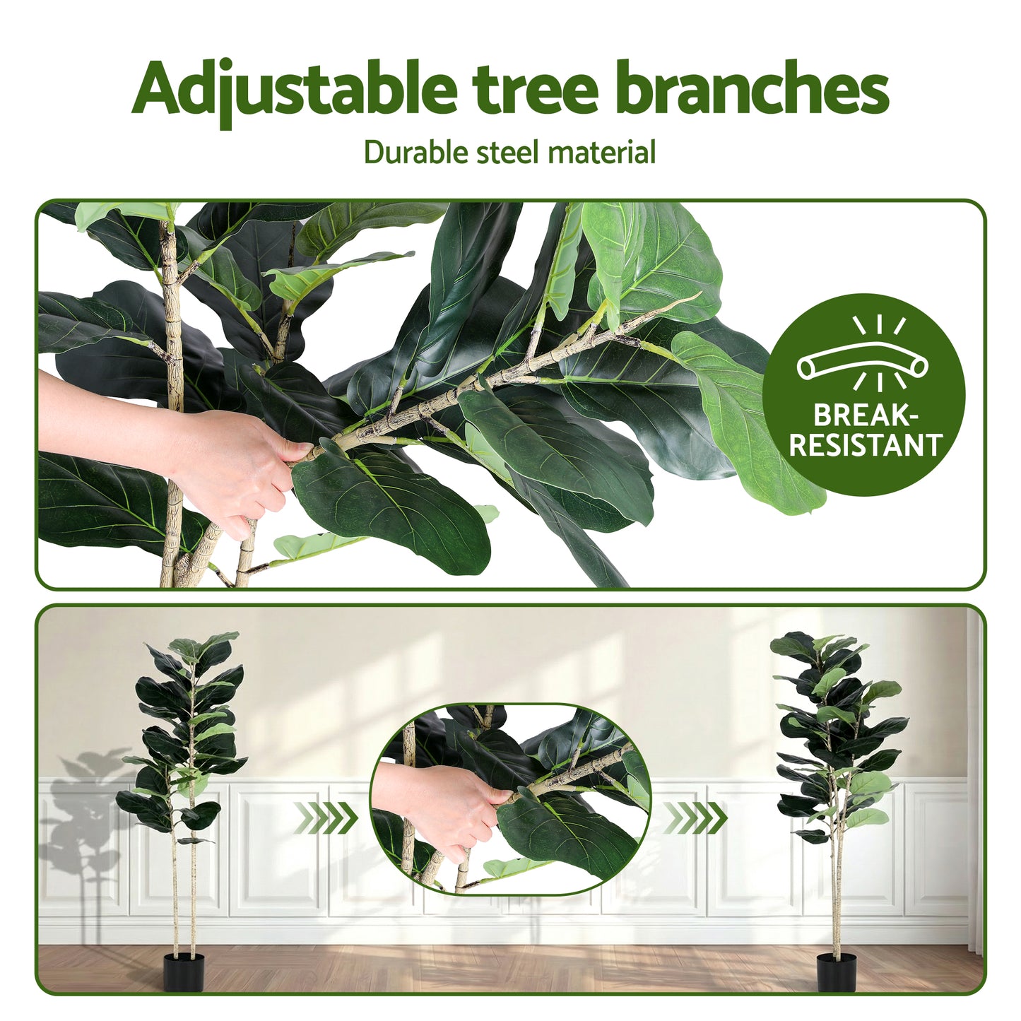 AP-TREE-FIDDLE-150-202603231800-06.jpg