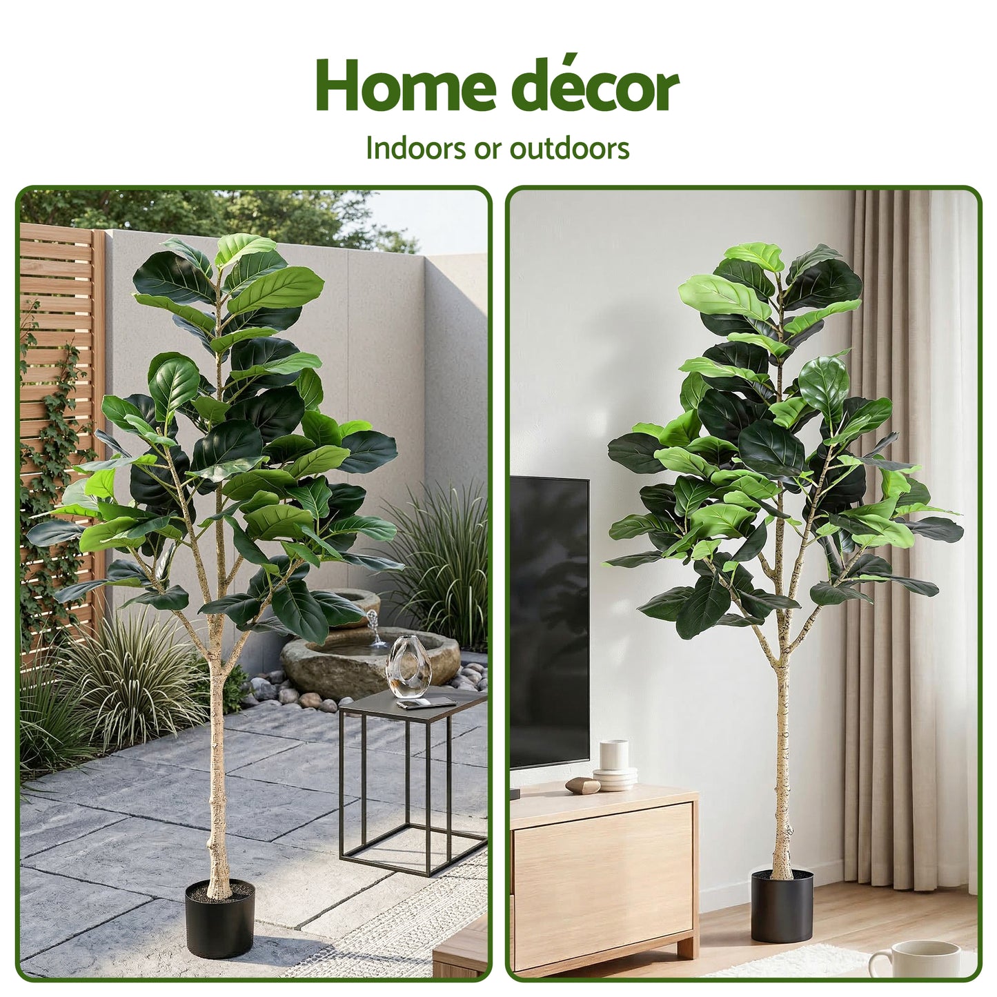 AP-TREE-FIDDLE-180-202603231800-08.jpg