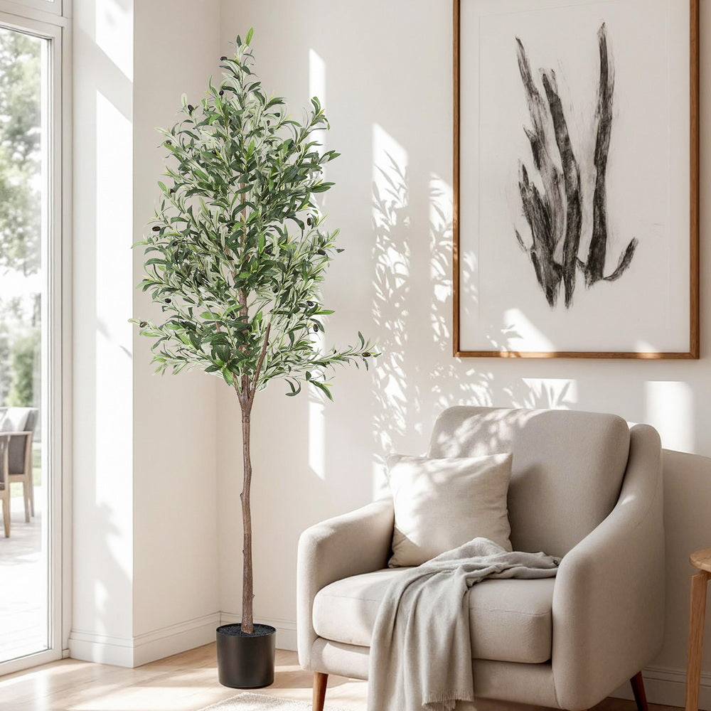 AP-TREE-OLIVE-180-202511052044-00.jpg