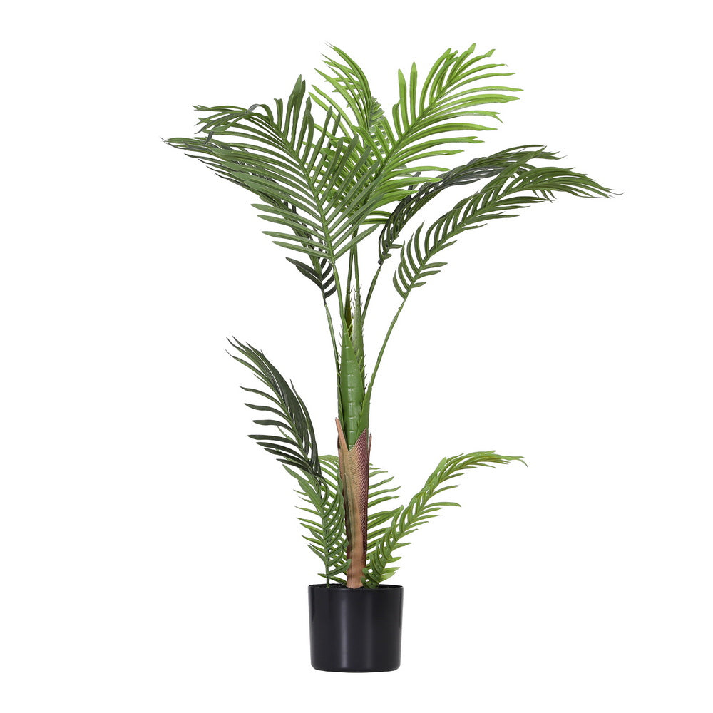 AP-TREE-PALM-100-202511072004-03.jpg