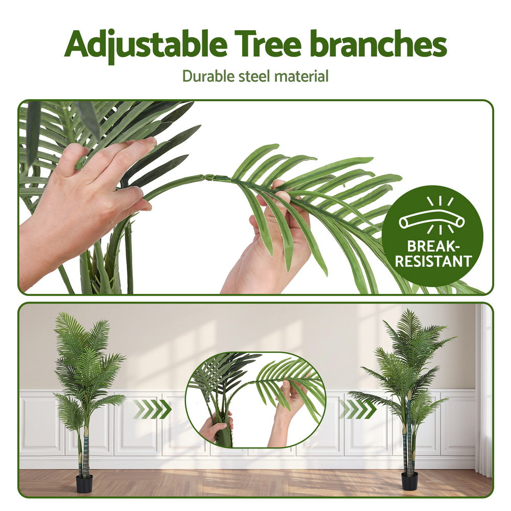AP-TREE-PALM-180-202511072004-04.jpg