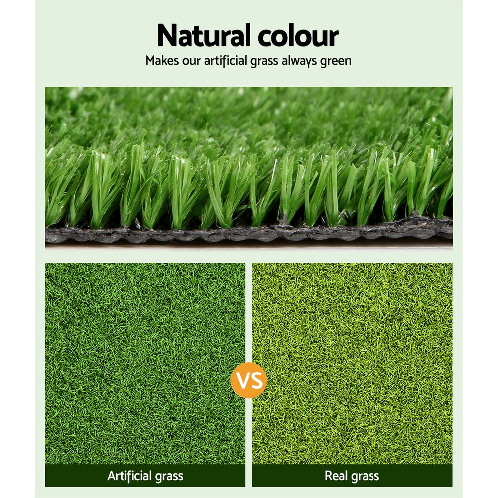 AR-GRASS-15-205M-OL-202502282024-03.jpg
