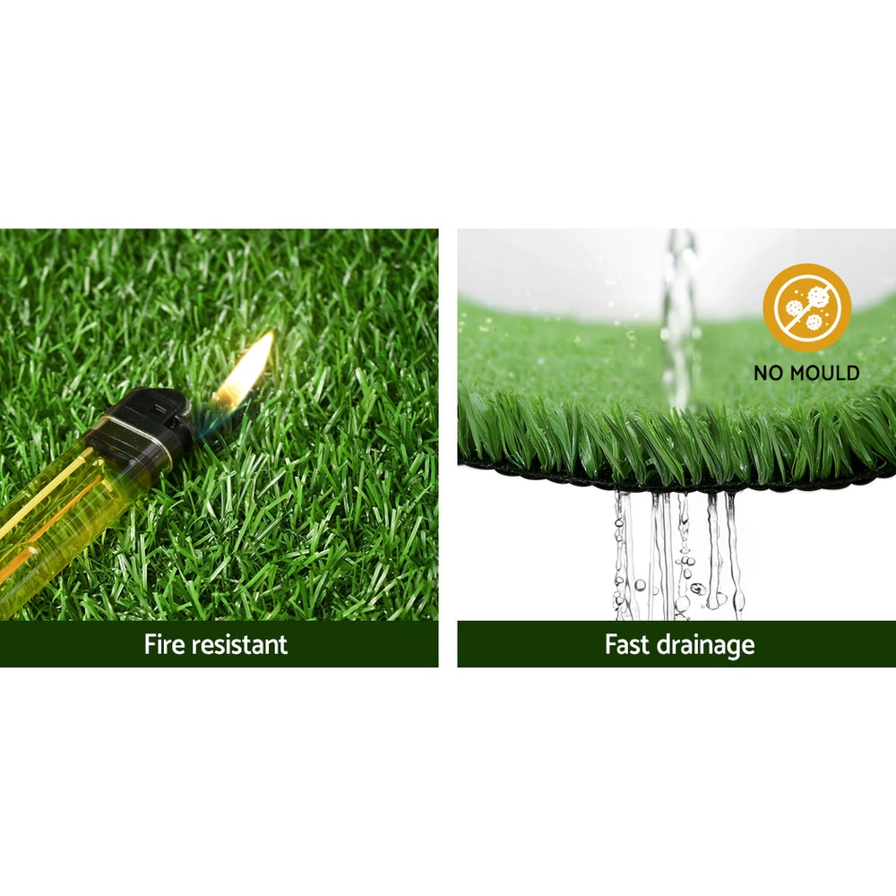 AR-GRASS-15-205M-OL-202502282024-04.jpg