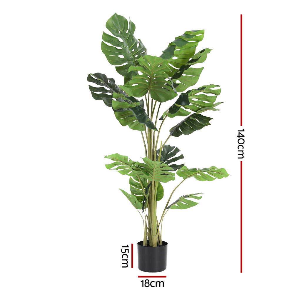 AP-TREE-MONS-140-202511072004-02.jpg