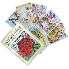 Australian Wildflower Reading Cards