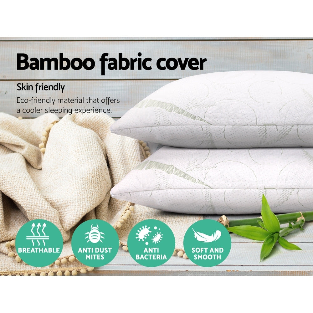 BAM-SHED-PILLOWX2-3487-03.jpg