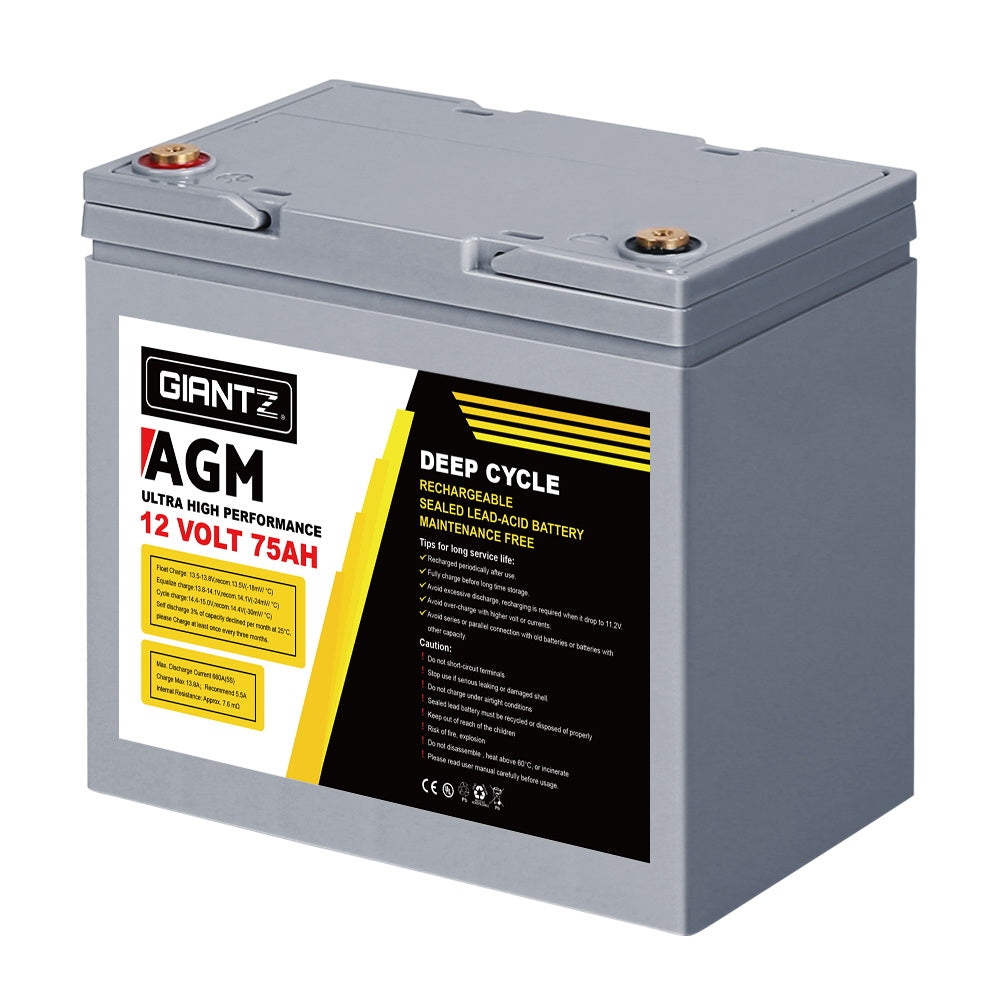 BATTERY-C-AGM-75-202502282032-02.jpg