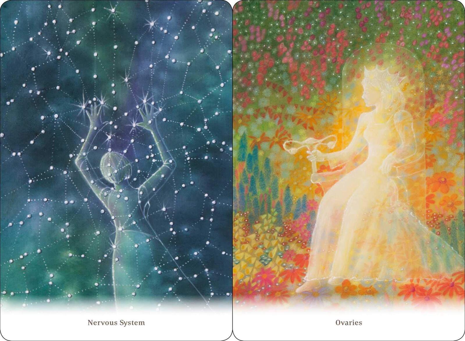 Body Healing Cards