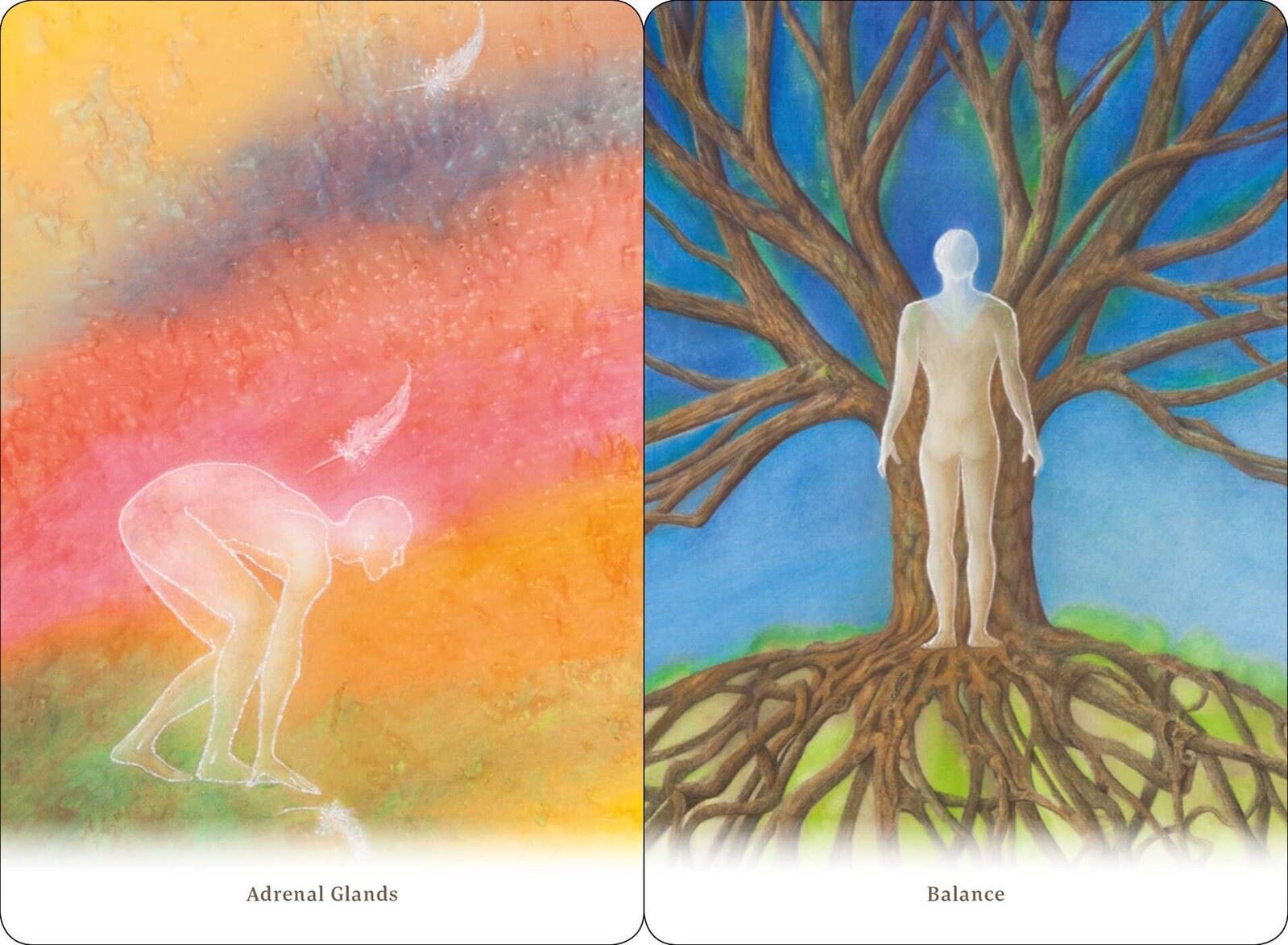 Body Healing Cards