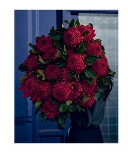 Bush Flowers: Australian flowers and foliage for decoration and design