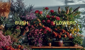 Bush Flowers: Australian flowers and foliage for decoration and design