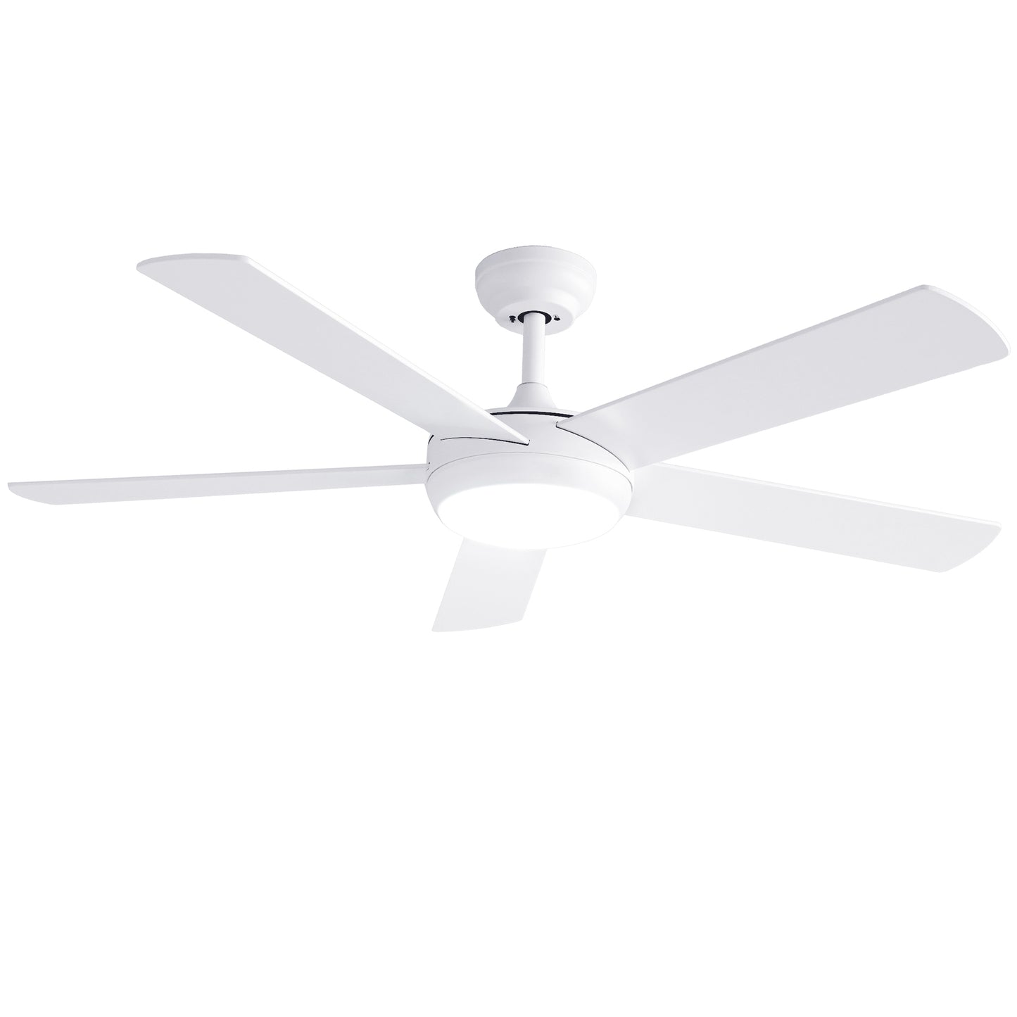CF-C-52-5B-986-WH-202602021916-08.jpg