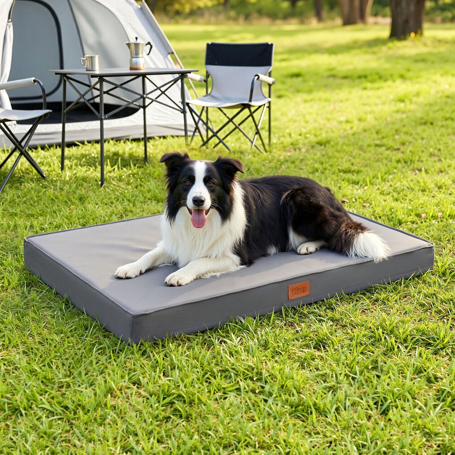 DBED-PAD-L-GY-00.jpg