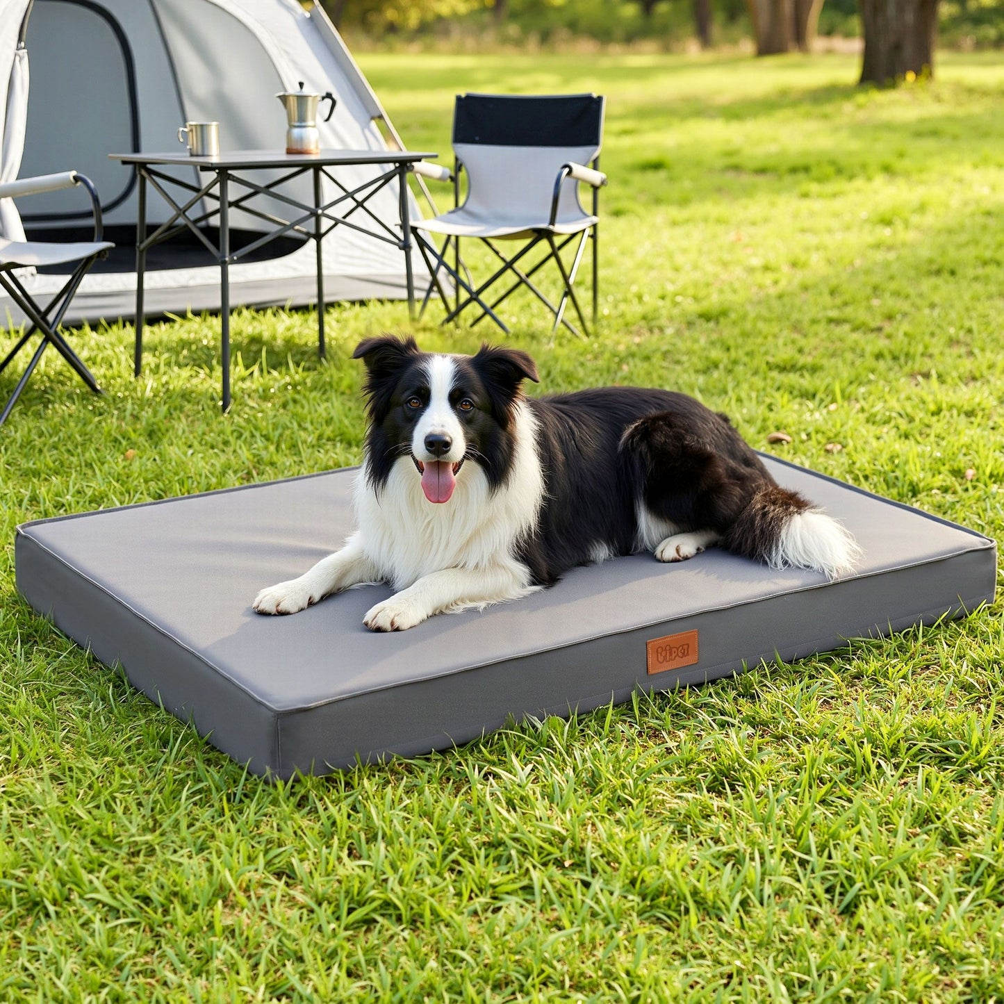 DBED-PAD-XL-GY-00.jpg