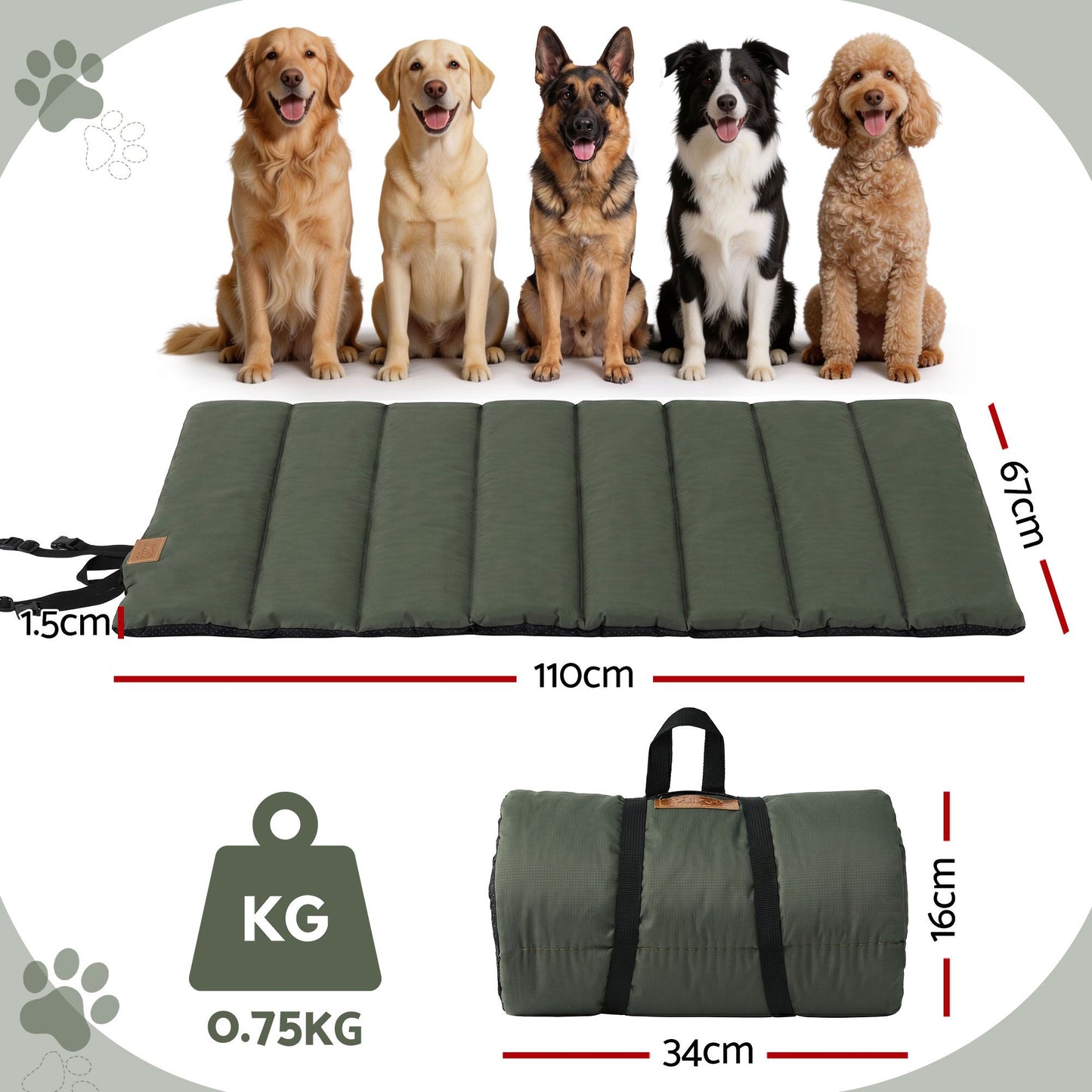 DBED-ROLL-GN-08.jpg