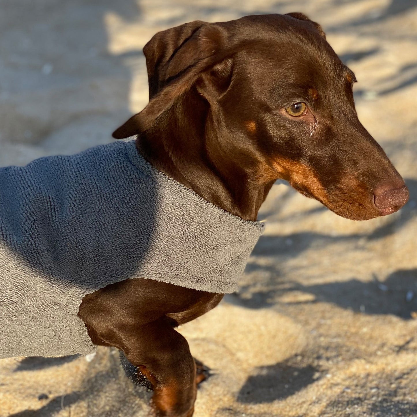 Dachys Jackies - Microfiber Poncho towel & Cooling Jacket