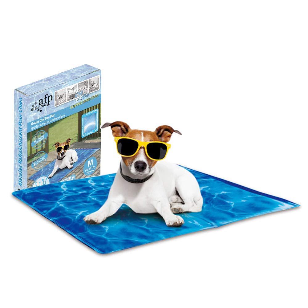 Pet Cooling Mat Buy Your Dog A Chill Out Pad Online All For Paws