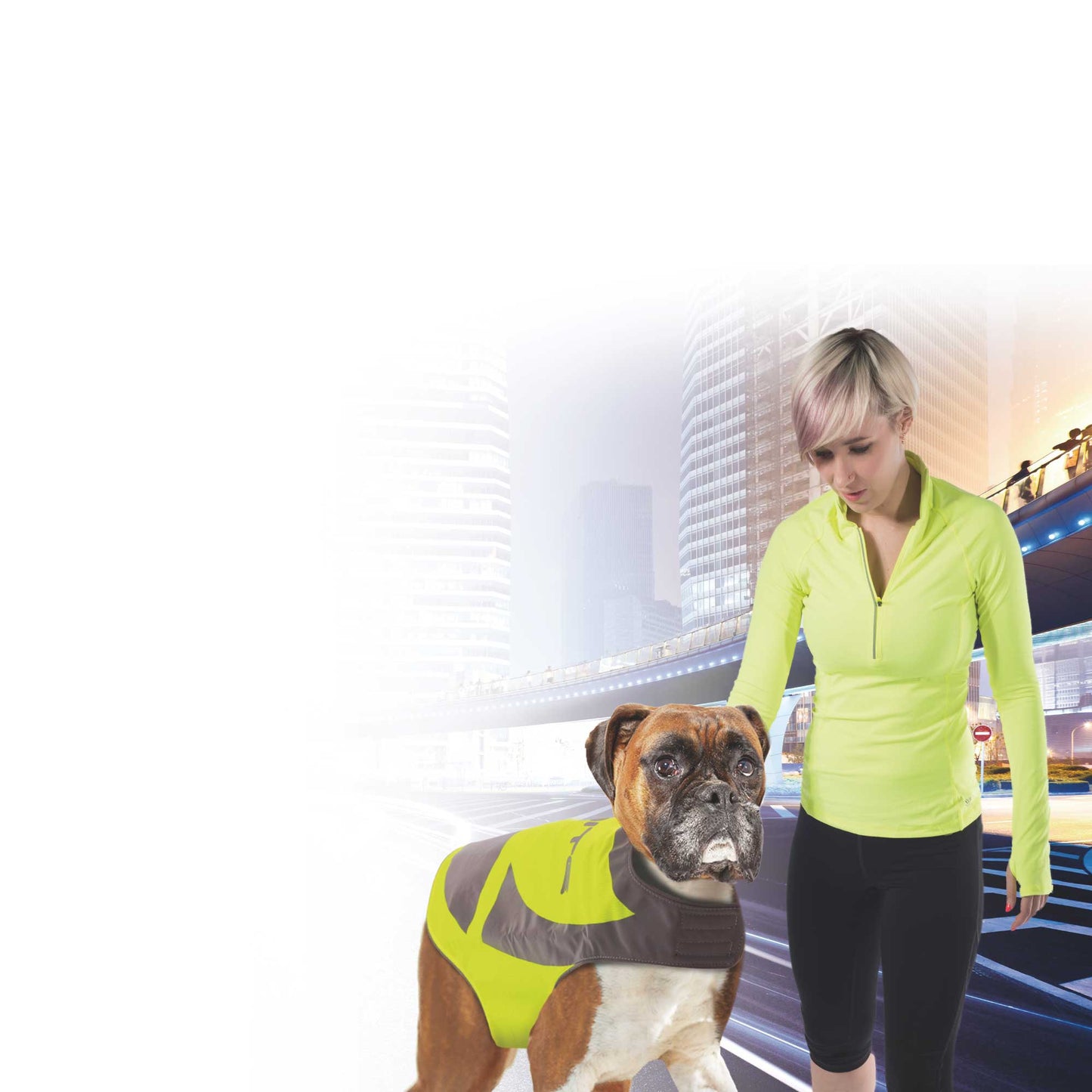 Dog Reflective Jacket Hi Vis Vest with Light Up Pendant for Small Breed Dogs