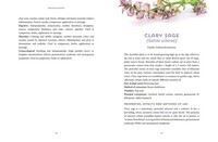 Essential Oils - Your Aromatherapy Guide