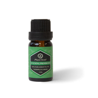 Evening Primrose Essential Oil 10ml Bottle - Aromatherapy