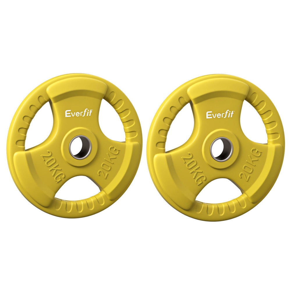Everfit Weight Plates Olympic 20kgx2 Dumbbell Barbell Plate Weight Lifting Home Gym Yellow