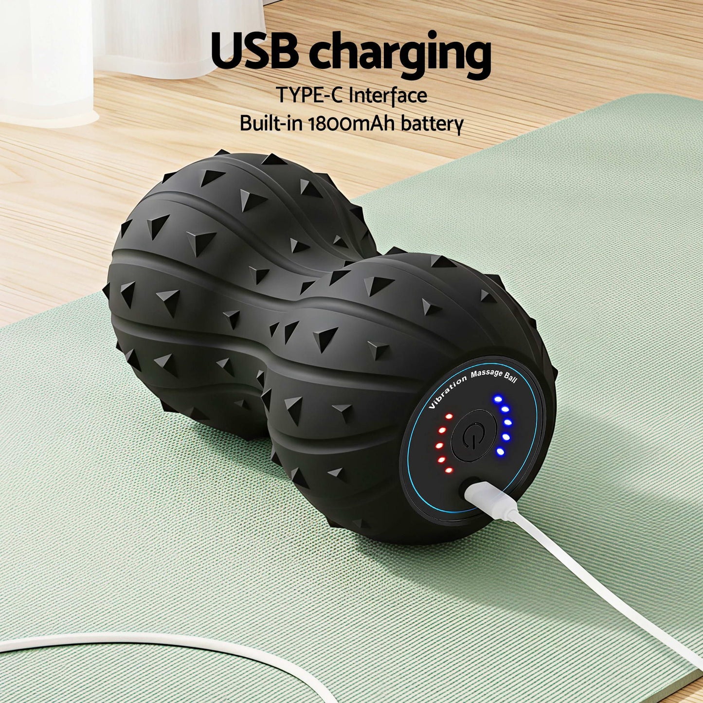 FR-ELE-BALL-BK-07.jpg