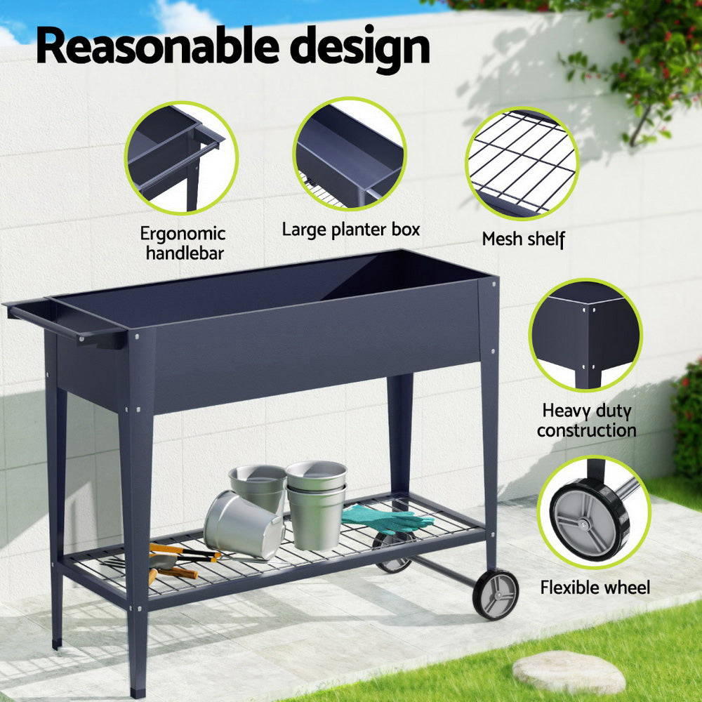 GARDEN-AG-PLAT-ROLLX2-202504171501-05.jpg
