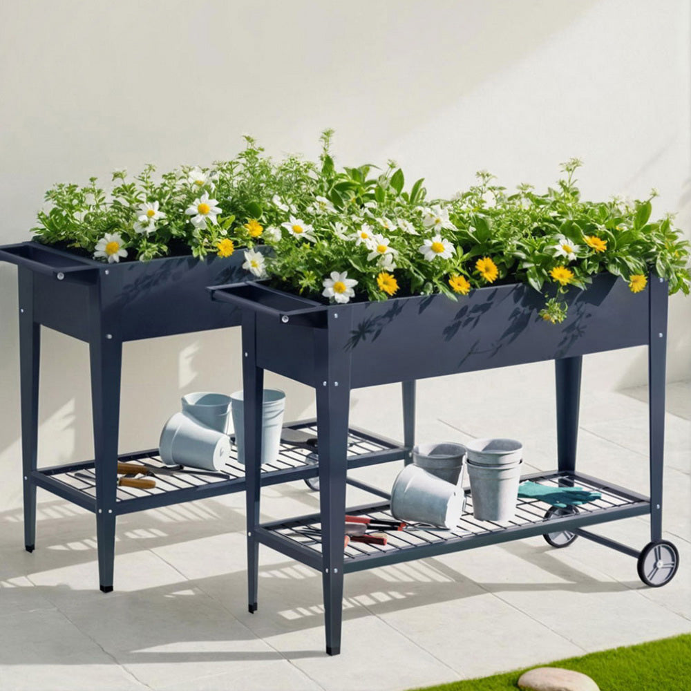 GARDEN-AG-PLAT-ROLLX2-202504171501-06.jpg