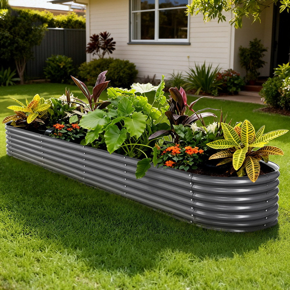 GARDEN-OVAL-3208042-202509191902-00.jpg
