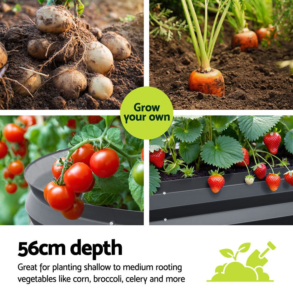 GARDEN-OVAL-AG-3208056X2-215095-05.jpg