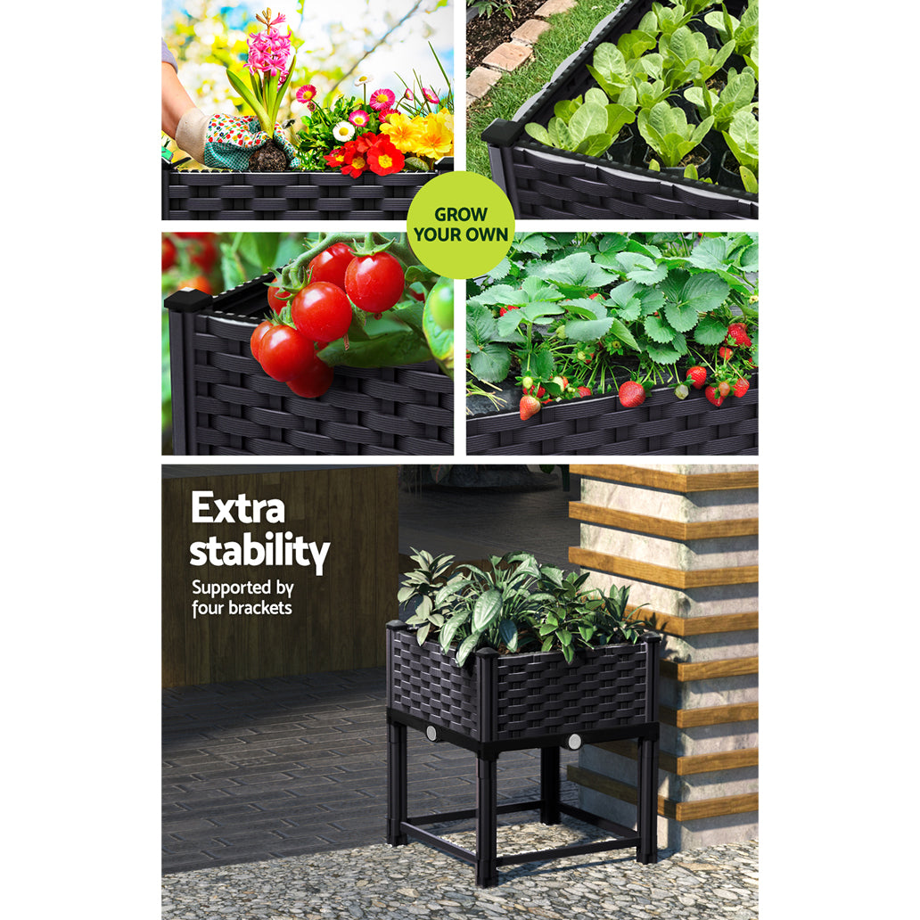 GARDEN-PP-40-202502282040-03.jpg