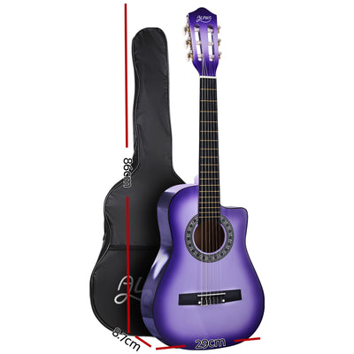 GUITAR-D-34-PURPLE-CAPO-20595-01.jpg