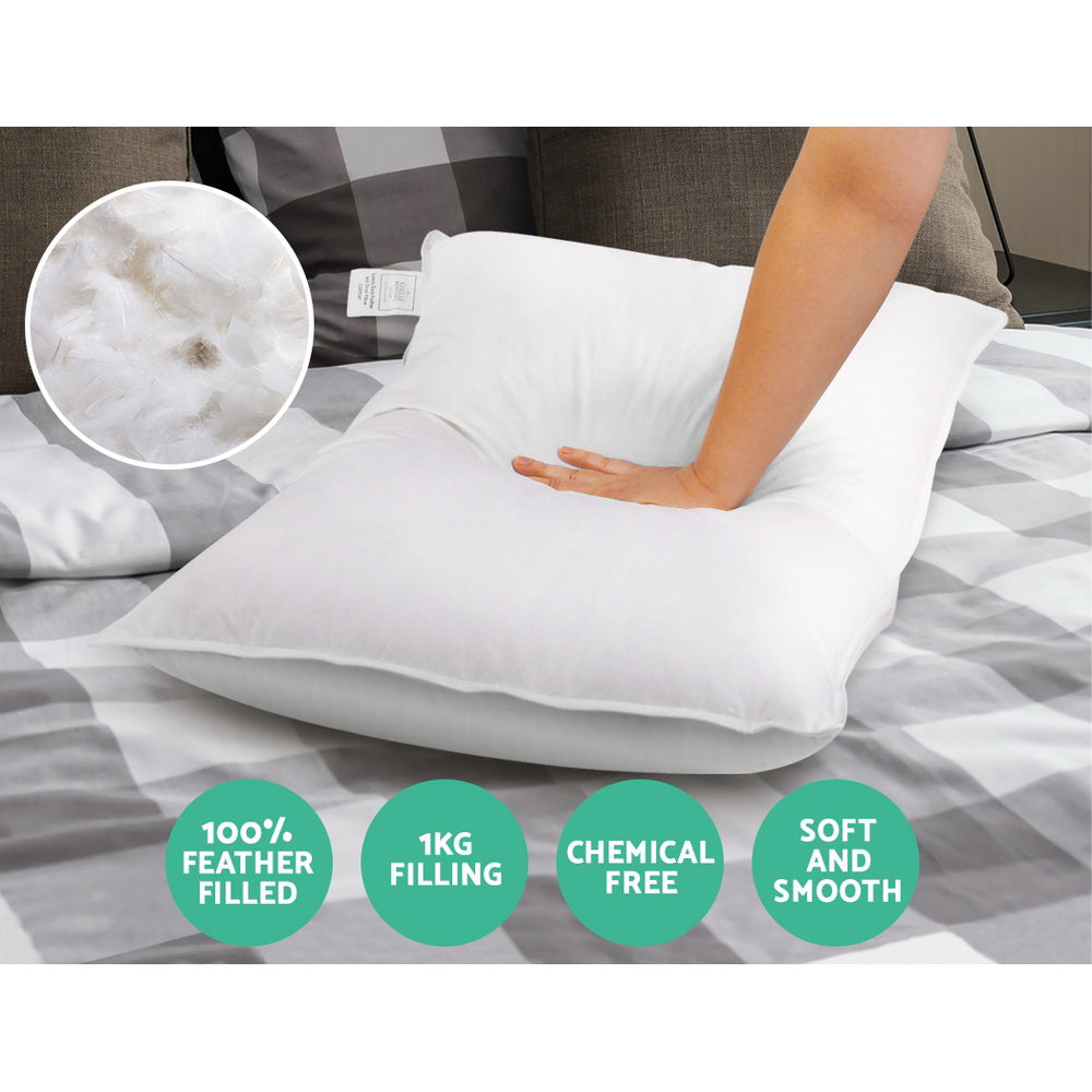 PILLOW-GOOSE-X2-202502281434-02.jpg