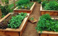 Healthy Garden Book