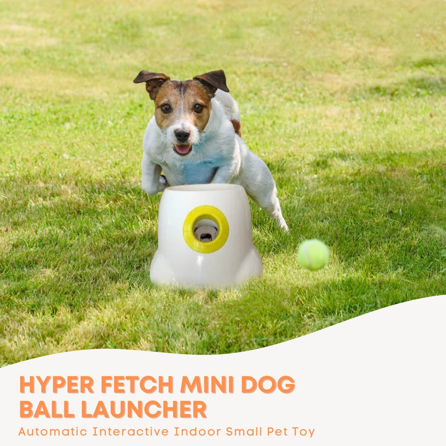 Hyper Fetch Mini Dog Ball Launcher - Automatic Interactive Indoor Small Pet Toy