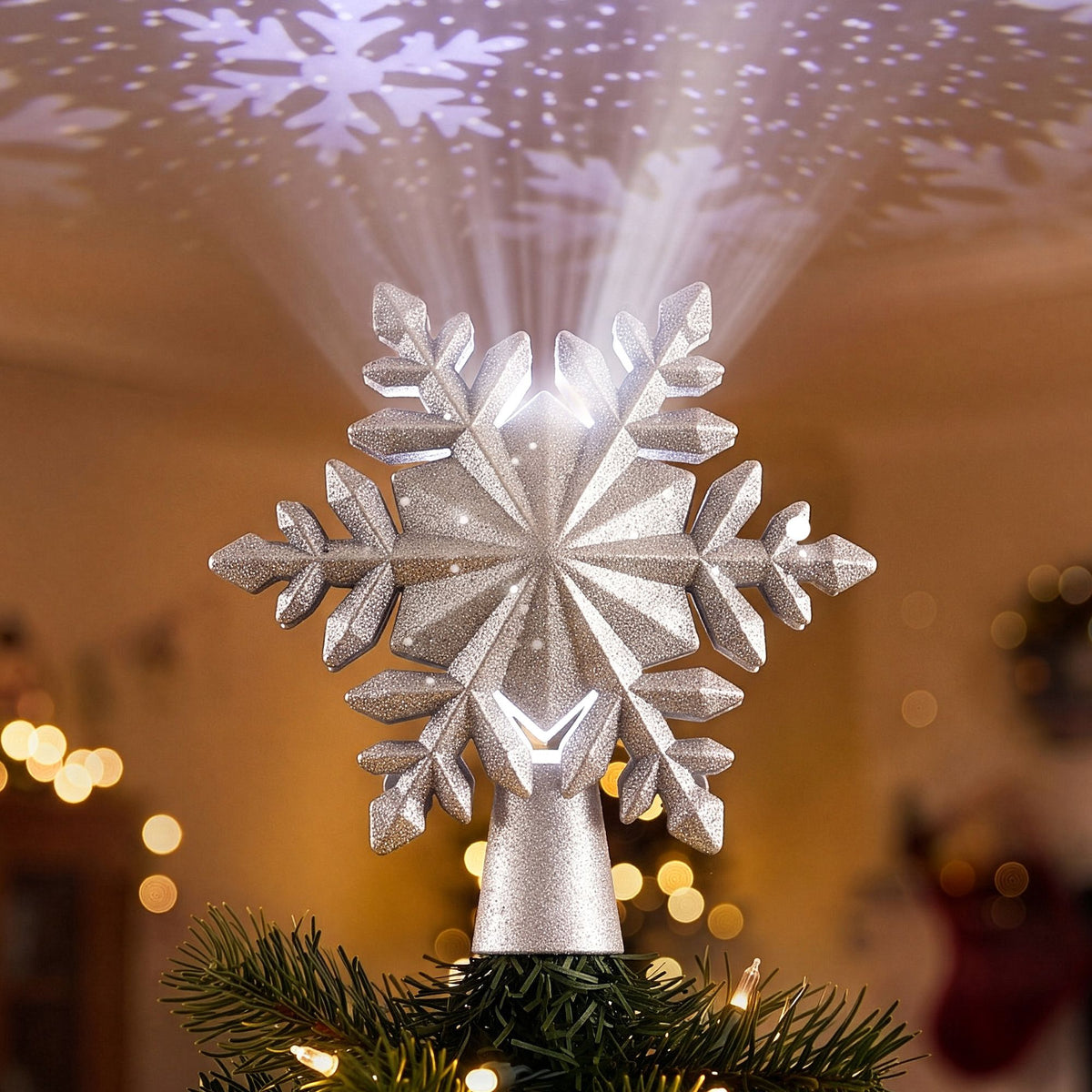 XM-TR-TOP-PROJ-SNOW-SI-10.jpg
