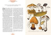 Kew - The Magic of Mushrooms