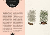 Kew - The Magic of Mushrooms