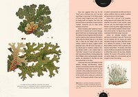 Kew - The Magic of Mushrooms