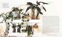 Leaf Supply Guide to Creating Your Indoor Jungle