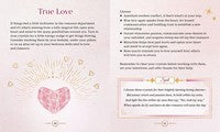 Love Spells: An Enchanting Spell Book of Potions & Rituals: Volume 3