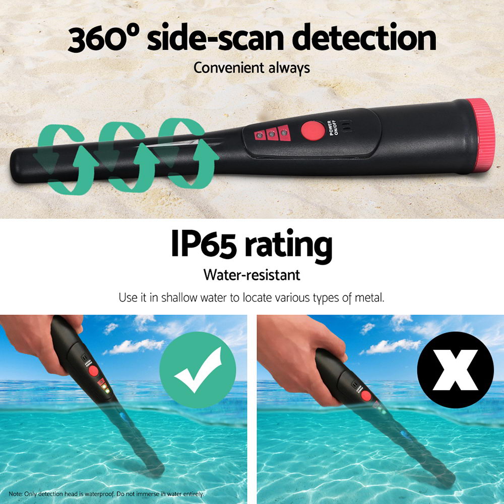 MDETECTOR-C-GC2007-02.jpg