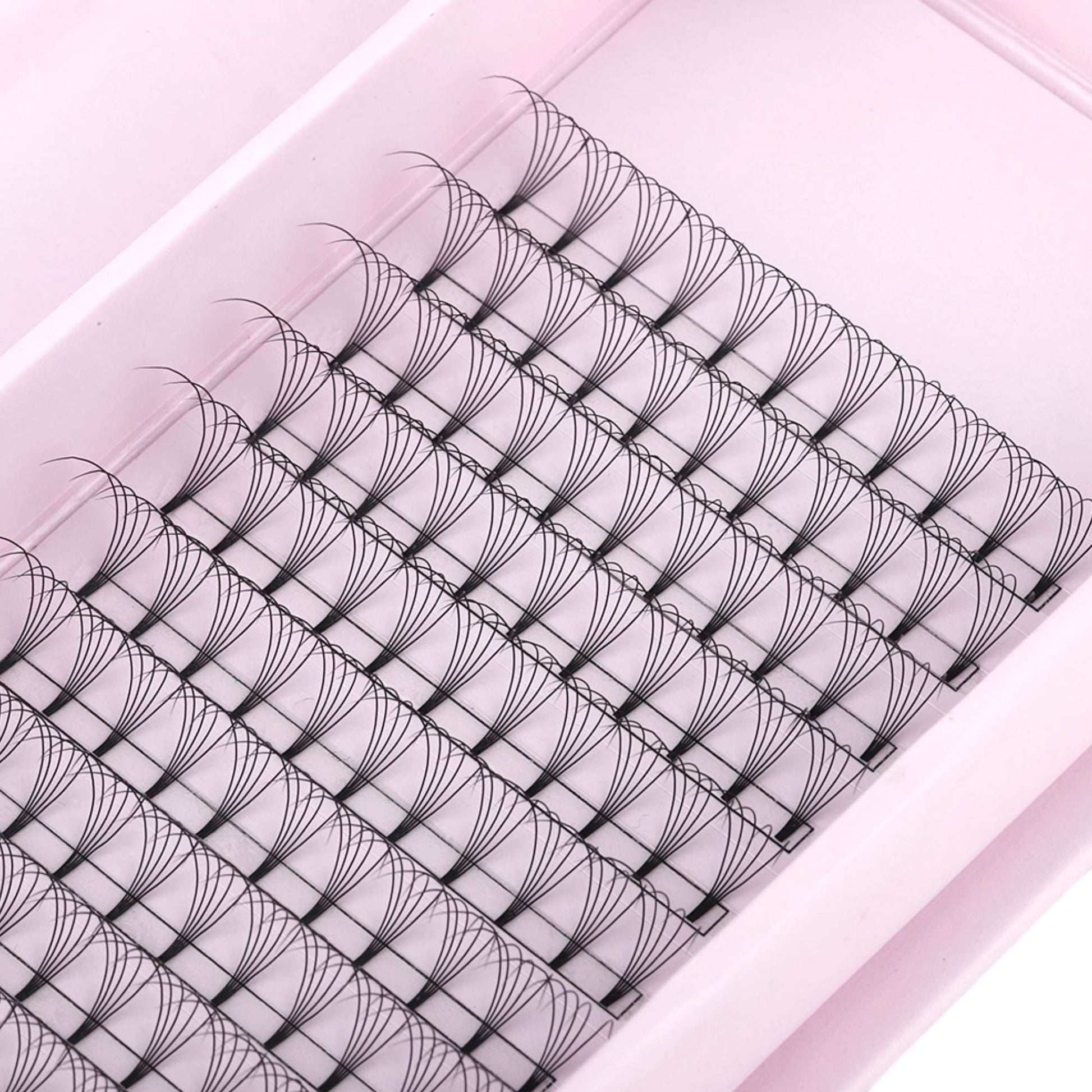 Miosh Eyelash Extensions - 5D Premade Volume Short Stem Eye Lash 0.10 / D CURL