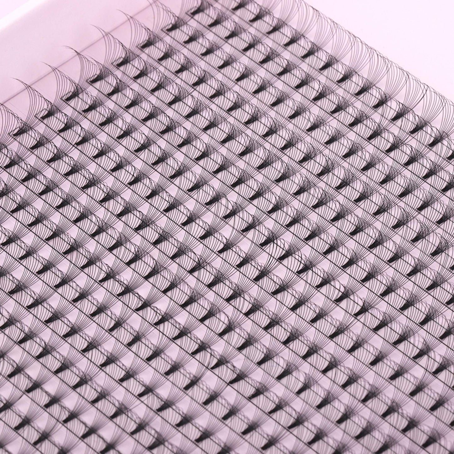 Miosh Eyelash Extensions - XL 10D Premade Volume Short Stem Lash 0.05 / D CURL