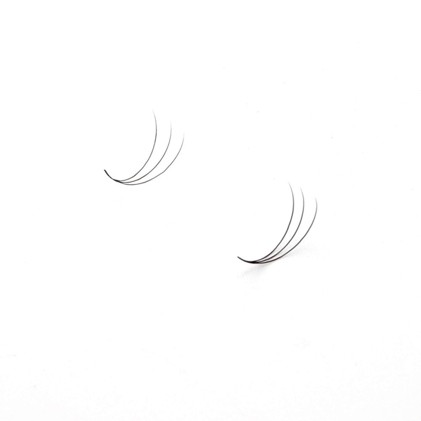 Miosh Eyelash Extensions - XL 3D Premade Volume Short Stem Lash 0.07 / D CURL